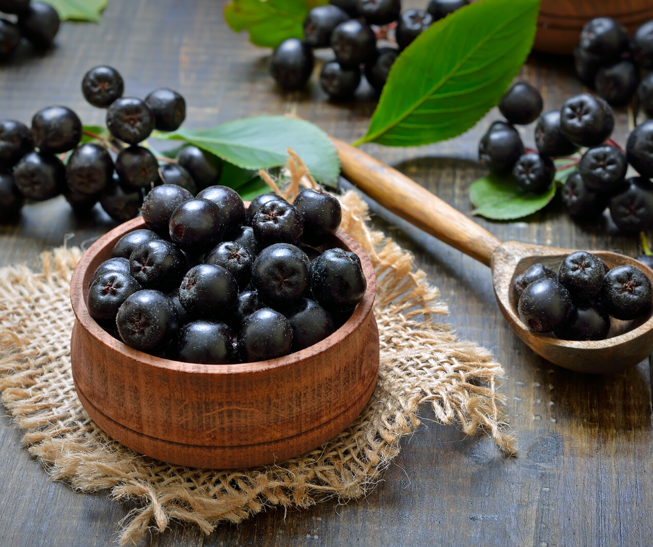 aronia